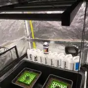 Zamnesia 2026 Plagron Eternity grow cup