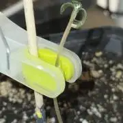 Amsterdam Amnesia FEM #2