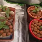 Zombie Kush, the first