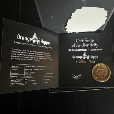 Orange Hippo / Super Silver Haze