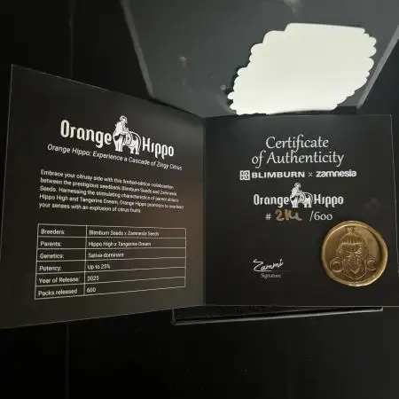 Orange Hippo / Super Silver Haze