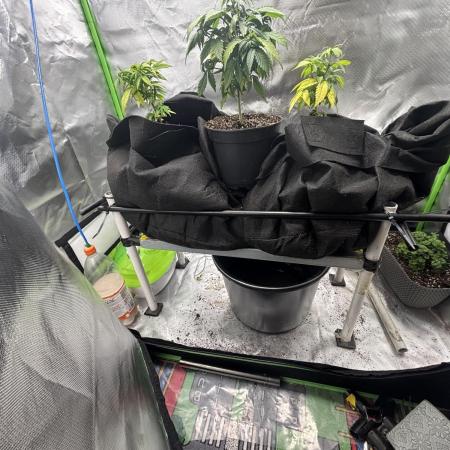 Snow bude (Stáňa 2 120x60)