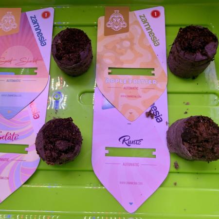 🌿 MIX-AUTO-GROW (EN/DE)
