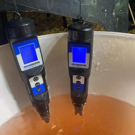 #1 - Northern lights fem