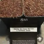 Terpy'Z