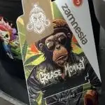 Grease Monkey photopériodique ZAMNESIA