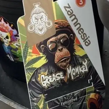 Grease Monkey photopériodique ZAMNESIA