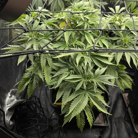 Candy Games #38 Happy Valley