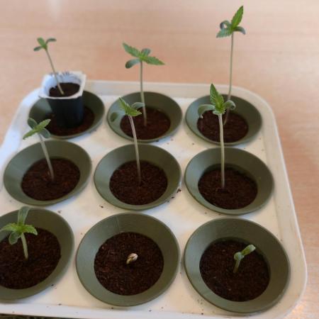 Winterseason 2025 .. only Automatics