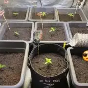 Winterseason 2025 .. only Automatics