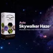 Skywalker Haze (auto)
