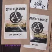 Wunderbohnen - Seeds of Anarchy