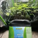 El Jardin Del Tieso_420