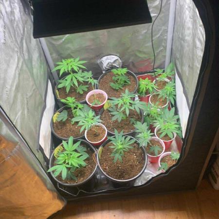 wonder what happens when i do this ?