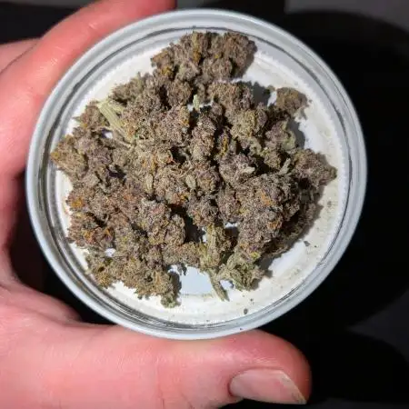 Purple haze