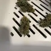 Second SROG