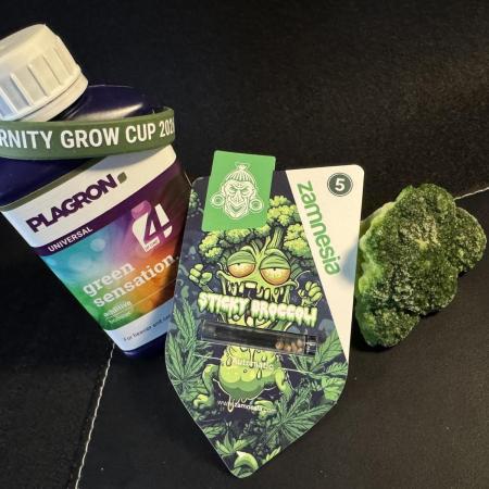 Sticky Broccoli Auto - Eternity Cup 2026