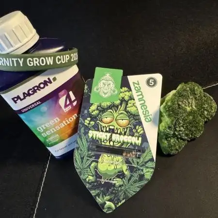 Sticky Broccoli Auto - Eternity Cup 2026