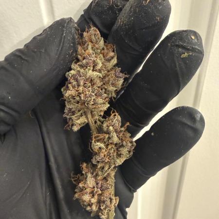 Blurberry HAG