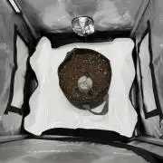 Piglettas purple potion