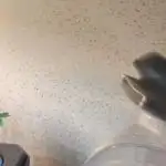 Start a New Grow