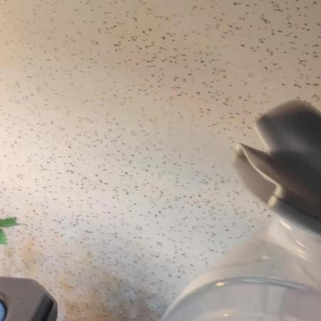 Start a New Grow