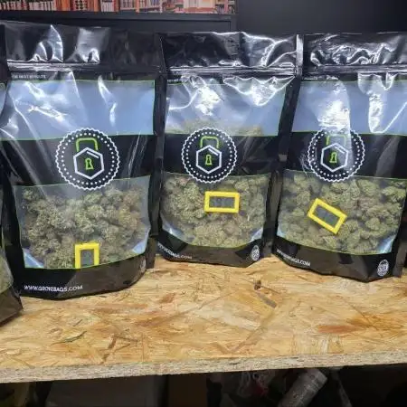 Super Lemon Haze (RDWC /SCrOG)