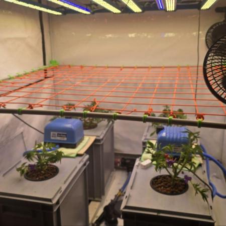 Über mich & meine Grows (HydroLab)