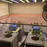 Über mich & meine Grows (HydroLab)