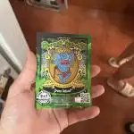 My first feminized grow