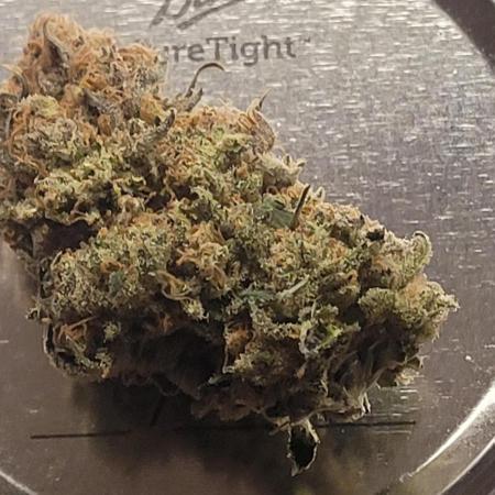 First Grow Fuel Dog Gaia Green