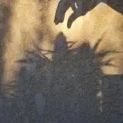 Delicious seeds ER/SP/BB/G