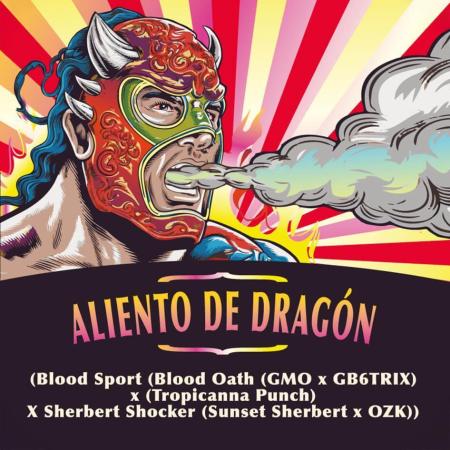 Aliento de dragón - Black Tuna Seeds