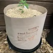 FastBuds Gelato Outdoor living soil