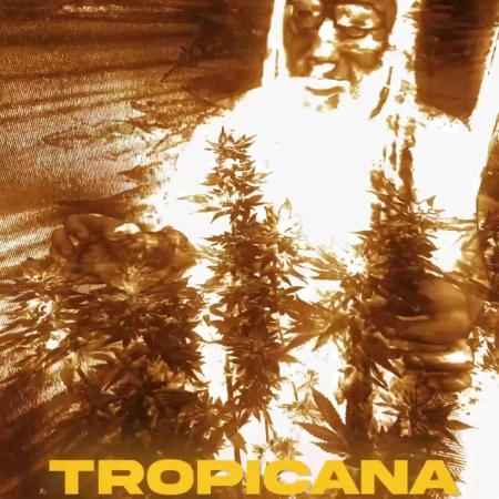Tropicana Cookies — Colombia 🇨🇴