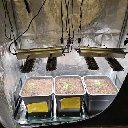 25 Liter Steckling/Cutting Grow