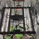 Some autos with photoperiod