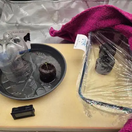 First Coco Autopot Grow