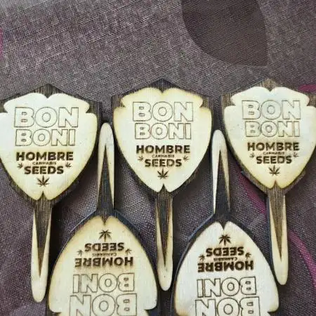 AI Bonbónky 💚