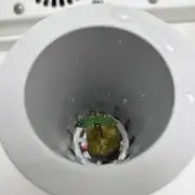 *MAKI* First Ever Grow!+Hey Abby OG DWC