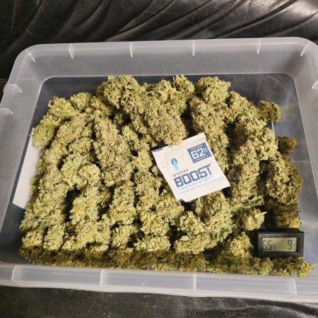 Royal AK Fem + O.G. Kush RQS