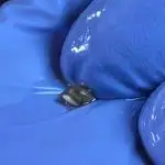 HIDROPÓNICO CON ATAMI Y SPIDER FARMER