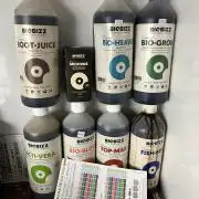 Bubblegum Gelato Barney’s Farm