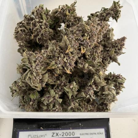 Super Boof  barney’s Farm