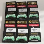 Bubblegum Gelato Barney’s Farm