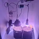 DIY homemade Mini grow (2x BB Auto)