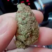 Sticky orange /double grape / first grow