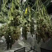 First GROW