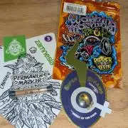 washingmachine/enemyofthestate/permanent