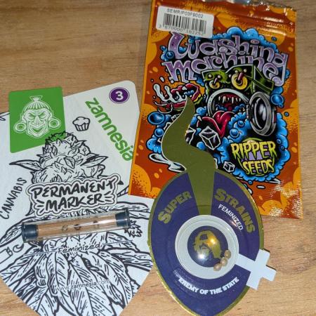 washingmachine/enemyofthestate/permanent